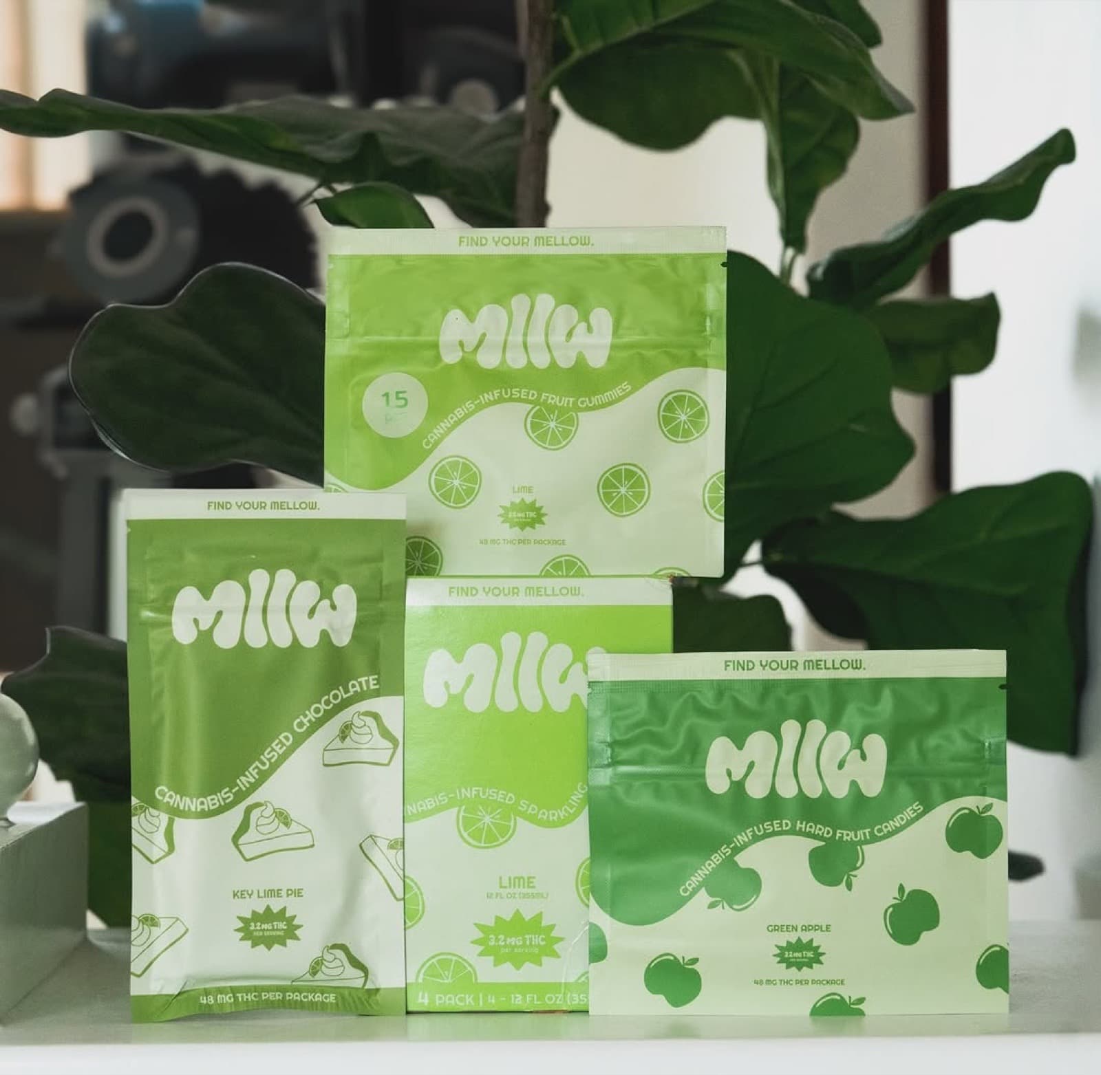Lime Seltzer (4-Pack)